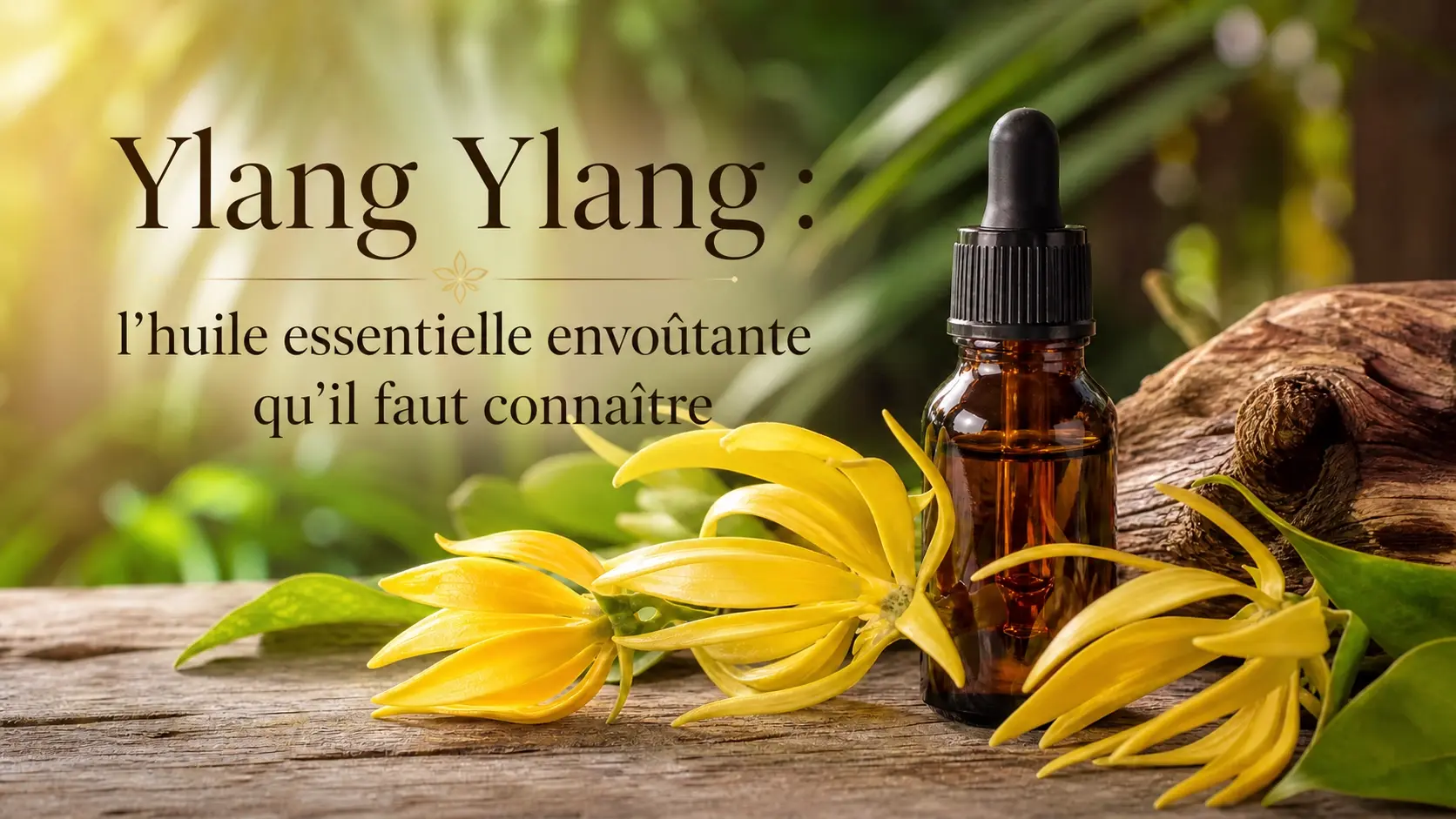 ylang ylang